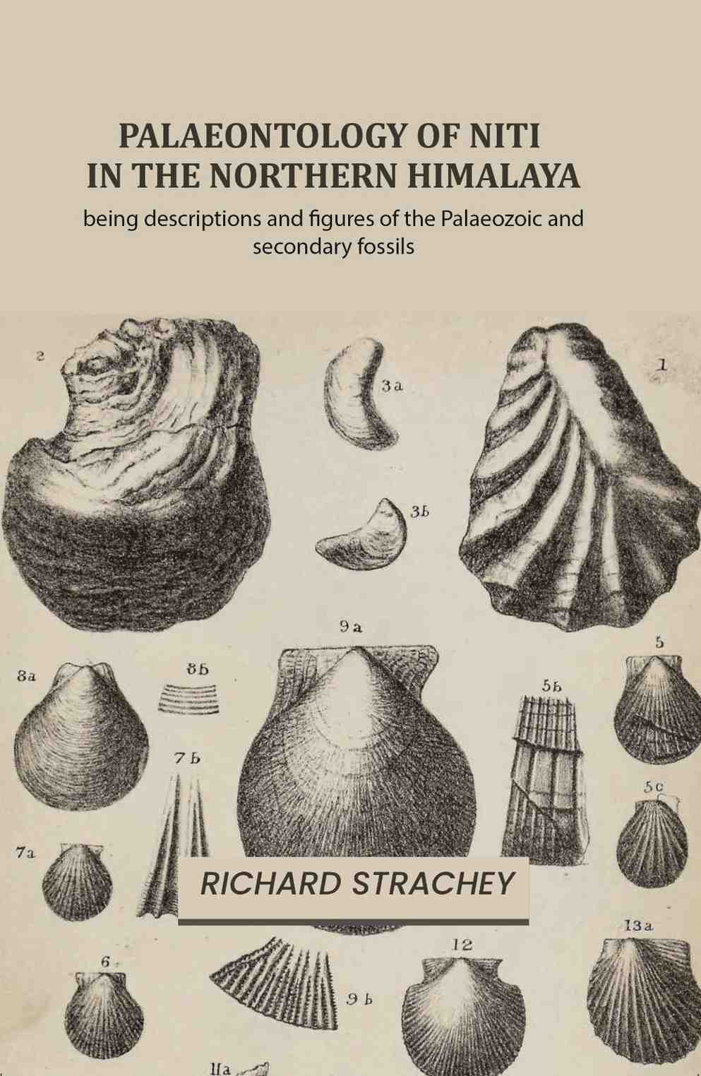 Palaeontology of Niti in the Northern Himalaya: being descriptions and figures of the Palaeozoic and secondary fossils - Gyan Books | Grocsy