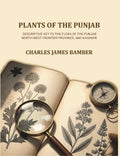 Plants of the Punjab: A descriptive key to the flora of the Punjab, North-west Frontier Province and Kashmir - Gyan Books | Grocsy