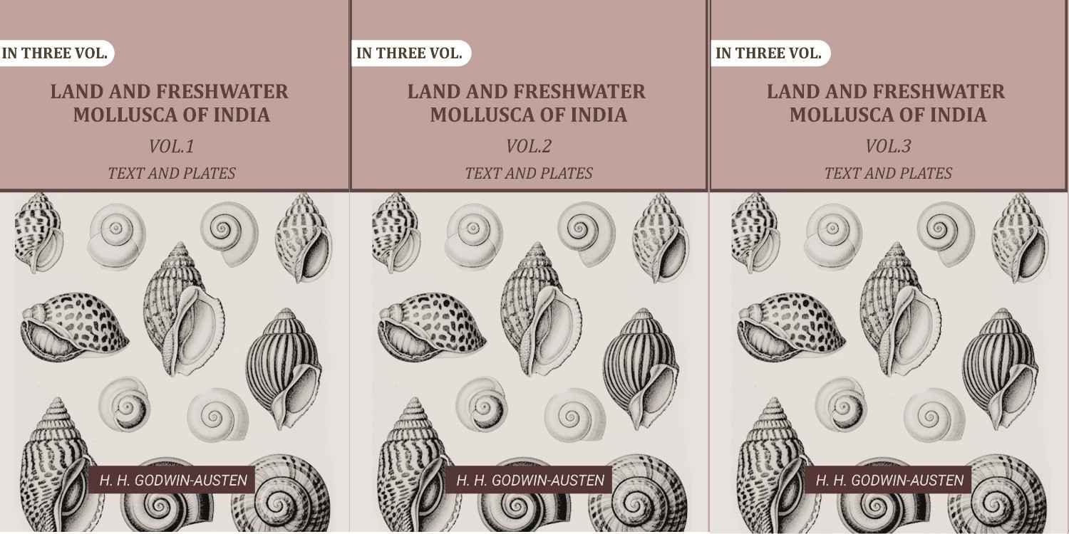 Land and fresh water Mollusca of India: Including South Arabia, Baluchistan, Afghanistan, Kashmir (3 Vols. Set (Text and Plates)) - Gyan Books | Grocsy