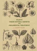 Plants, their natural growth and ornamental treatment - Gyan Books | Grocsy