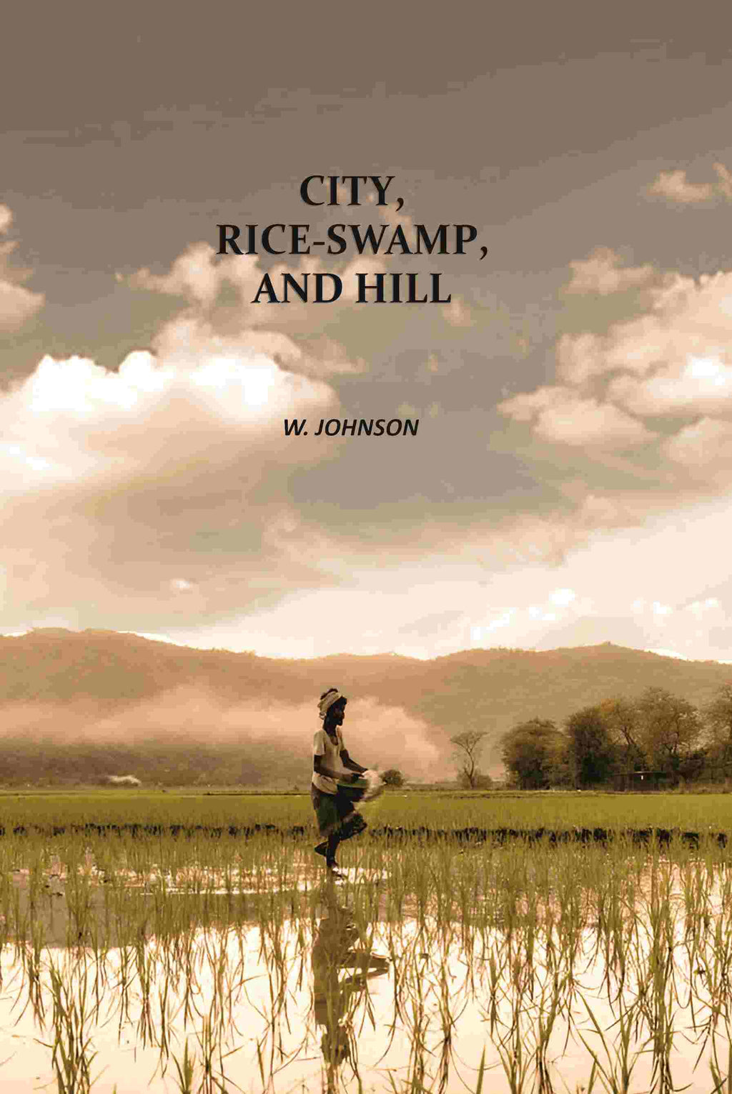 City, Rice-Swamp, And Hill - Gyan Books | Grocsy