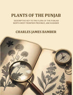 Plants of the Punjab: A descriptive key to the flora of the Punjab, North-west Frontier Province and Kashmir - Gyan Books | Grocsy