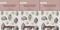 Land and fresh water Mollusca of India: Including South Arabia, Baluchistan, Afghanistan, Kashmir (3 Vols. Set (Text and Plates)) - Gyan Books | Grocsy