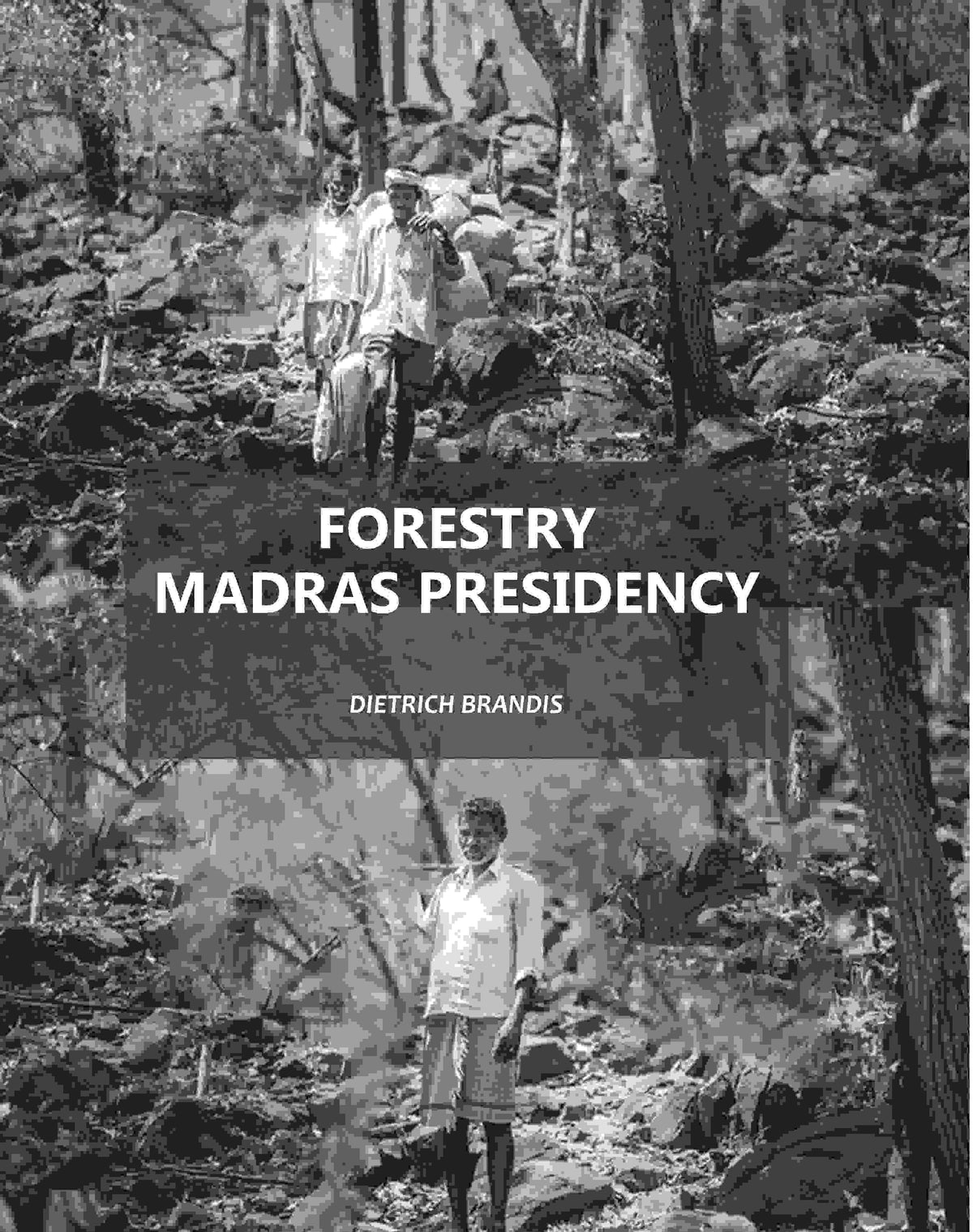 Forestry Madras Presidency - Gyan Books | Grocsy