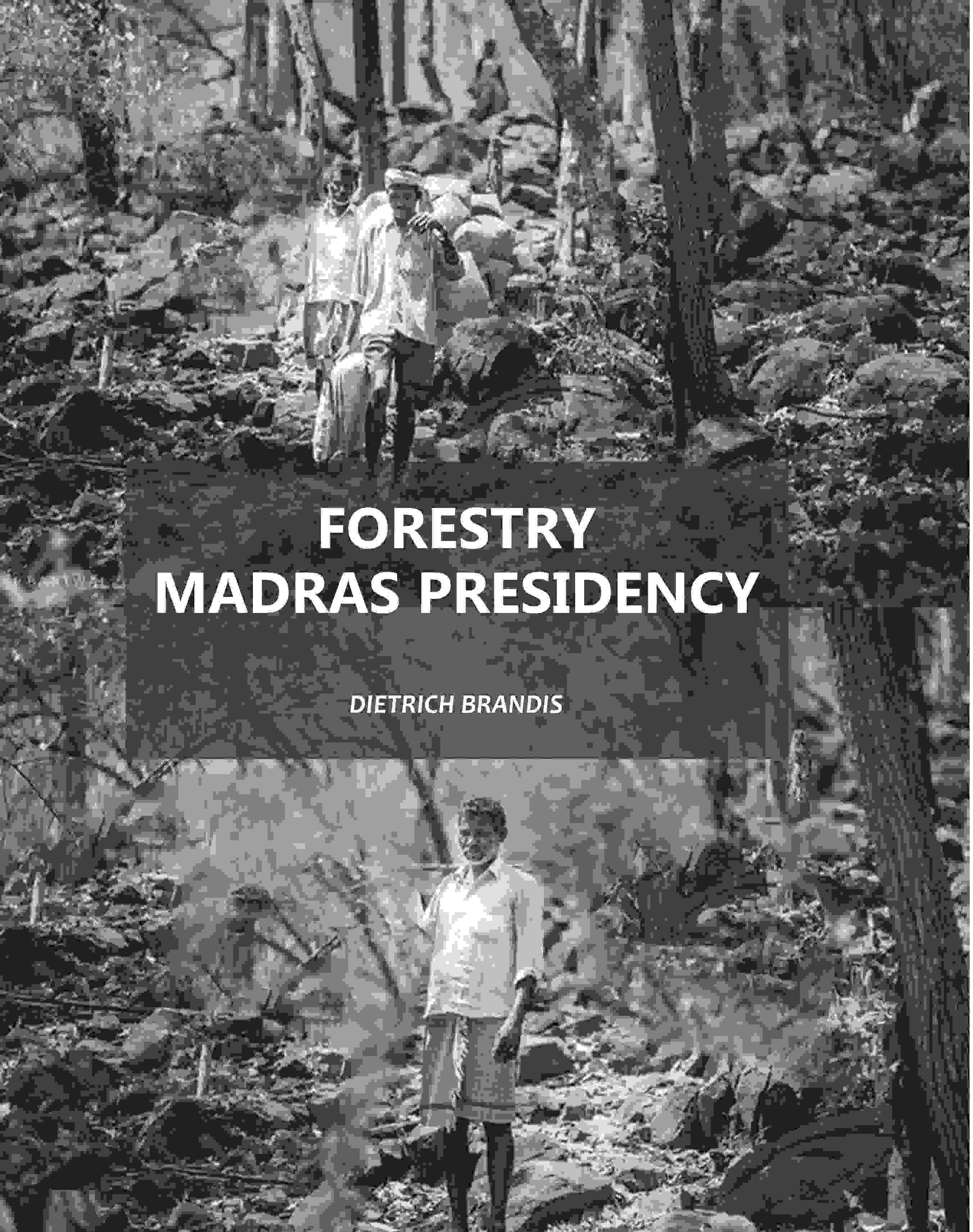 Forestry Madras Presidency - Gyan Books | Grocsy