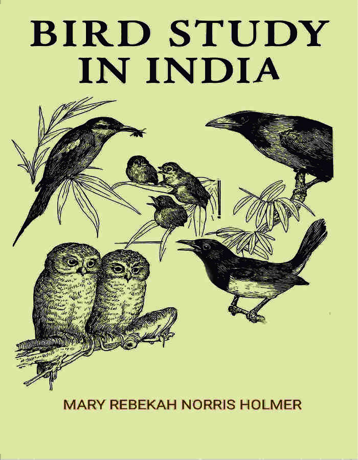 Bird Study in India - Gyan Books | Grocsy