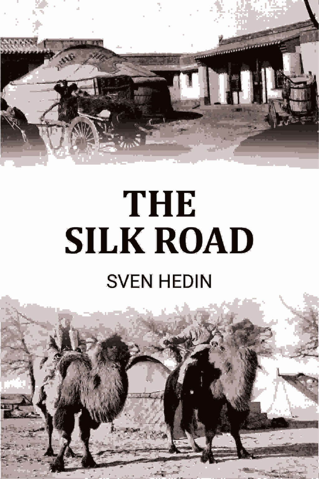 The Silk Road - Gyan Books | Grocsy