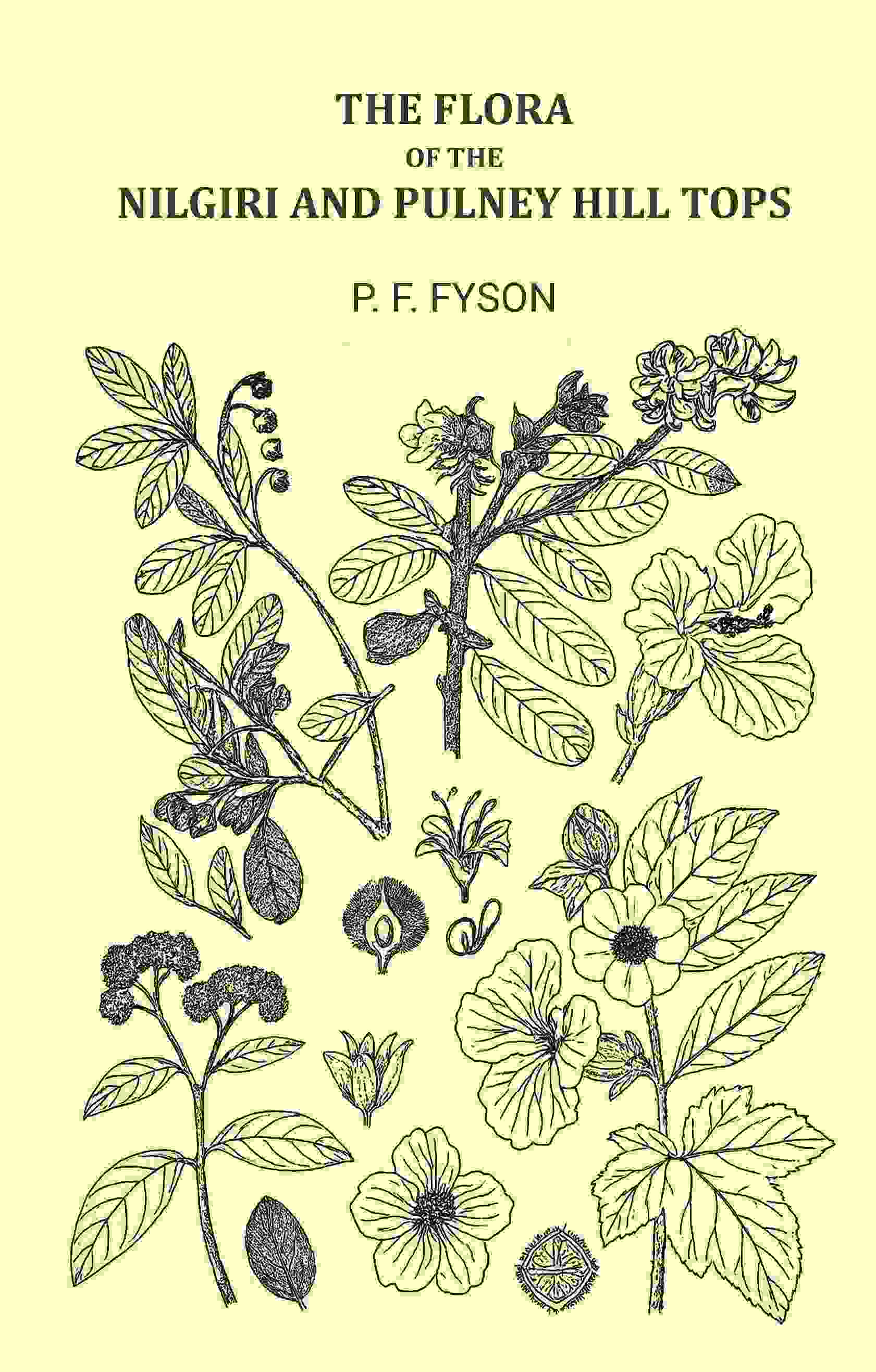 The Flora of The Nilgiri and Pulney Hill Tops - Gyan Books | Grocsy