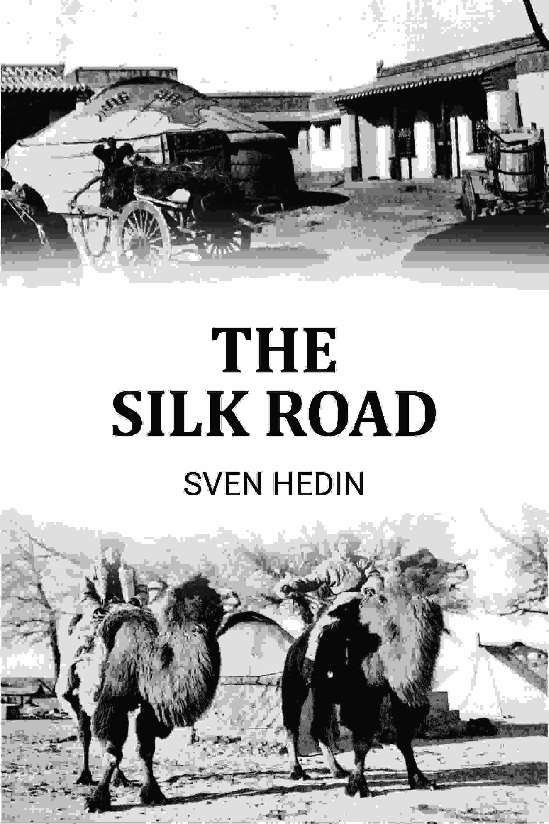 The Silk Road - Gyan Books | Grocsy
