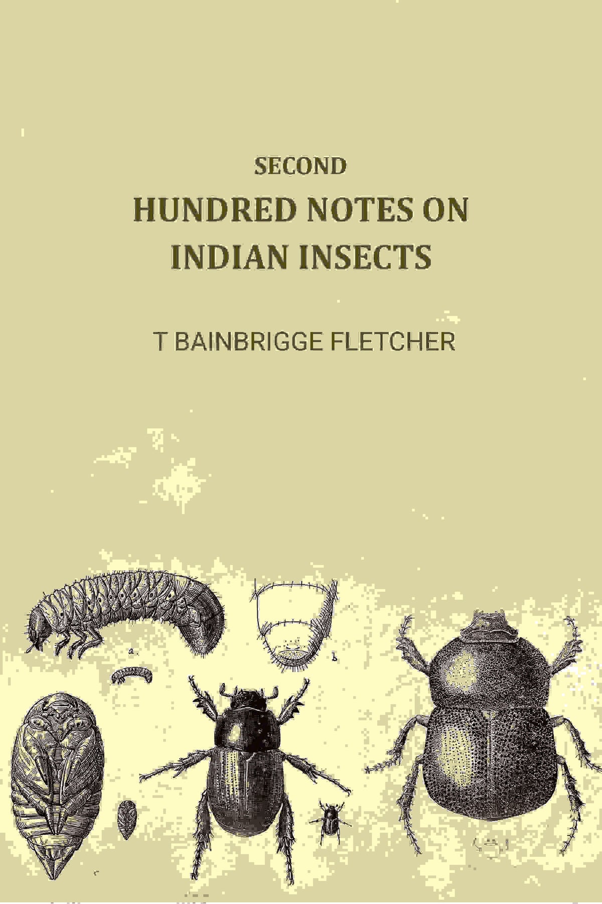Second Hundred Notes On Indian Insects - Gyan Books | Grocsy