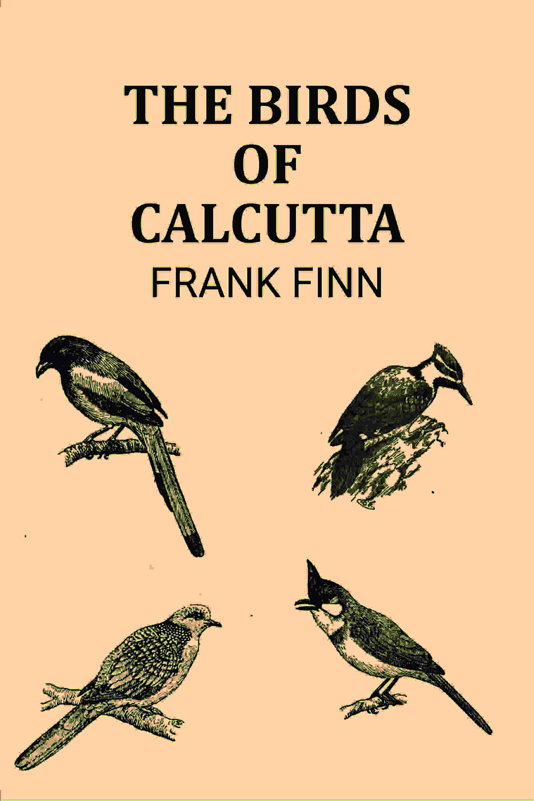The Birds of Calcutta - Gyan Books | Grocsy