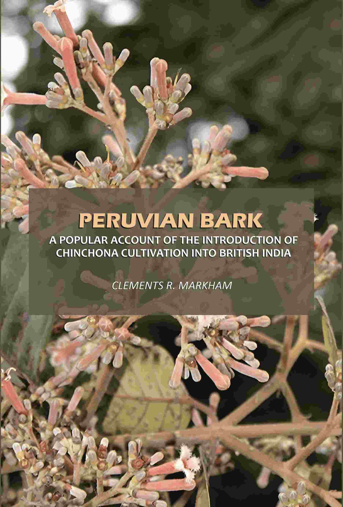 Peruvian Bark: A Popular Account of the Introduction of Chinchona Cultivation Into British India - Gyan Books | Grocsy