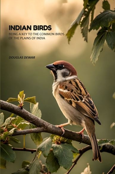 Indian Birds: Being A Key To The Common Birds Of The Plains Of India - Gyan Books | Grocsy
