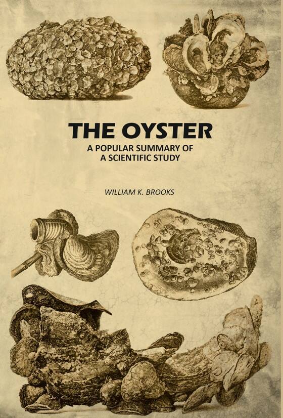 The Oyster: A Popular Summary of A Scientific Study - Gyan Books | Grocsy
