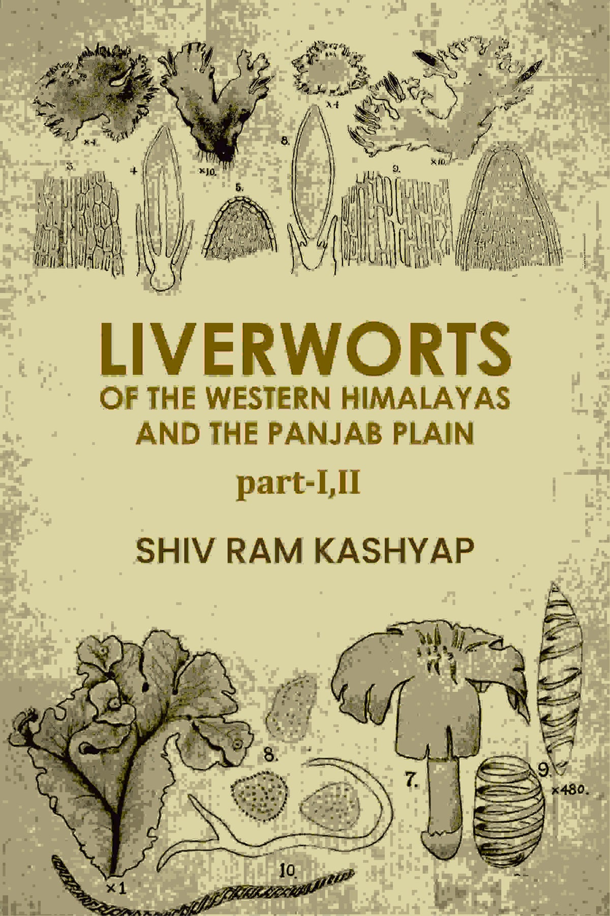 Liverworts Of The Western Himalayas And The Panjab Plain (Part 1 and 2) - Gyan Books | Grocsy