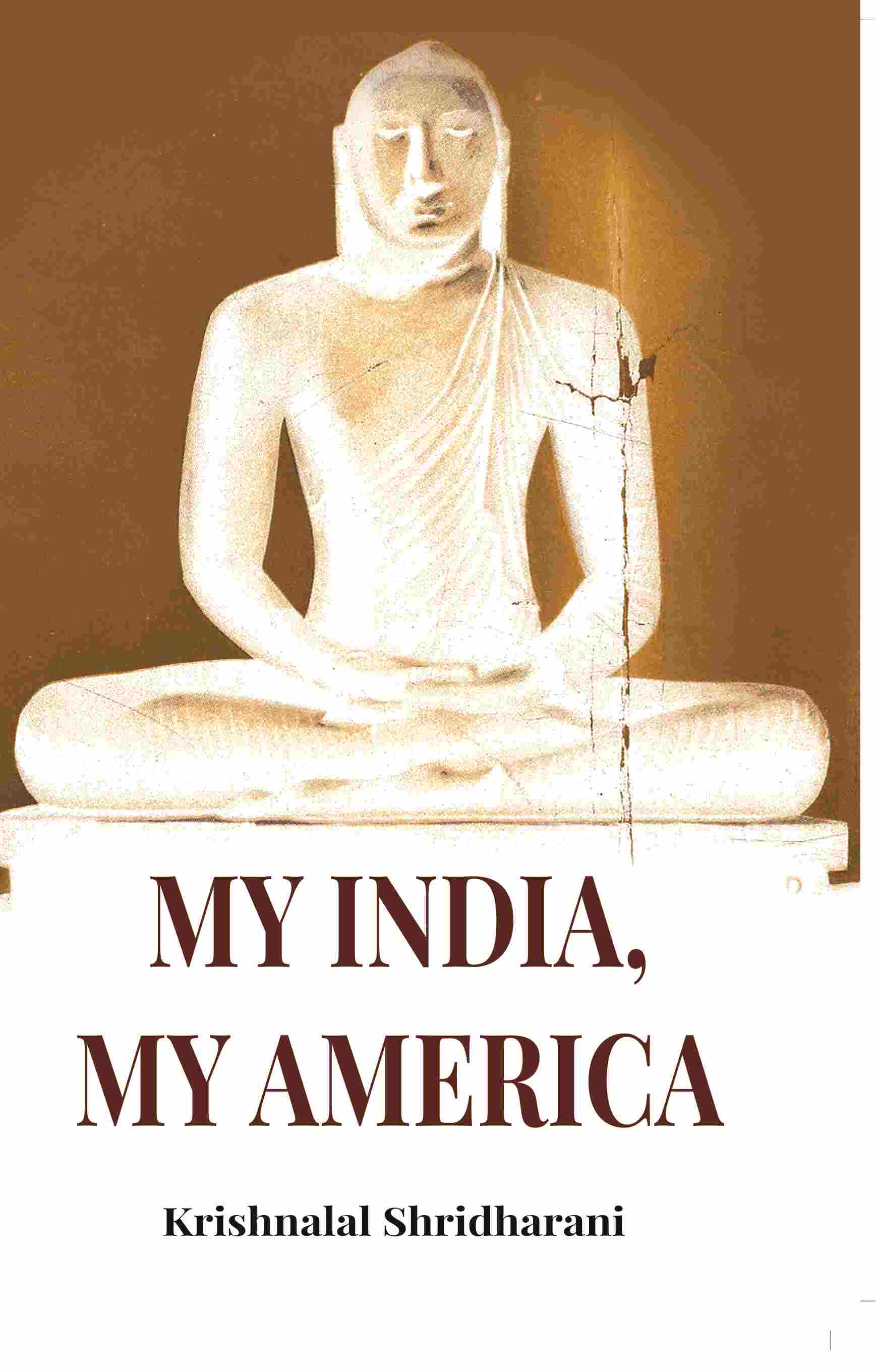 My India, My America - Gyan Books | Grocsy