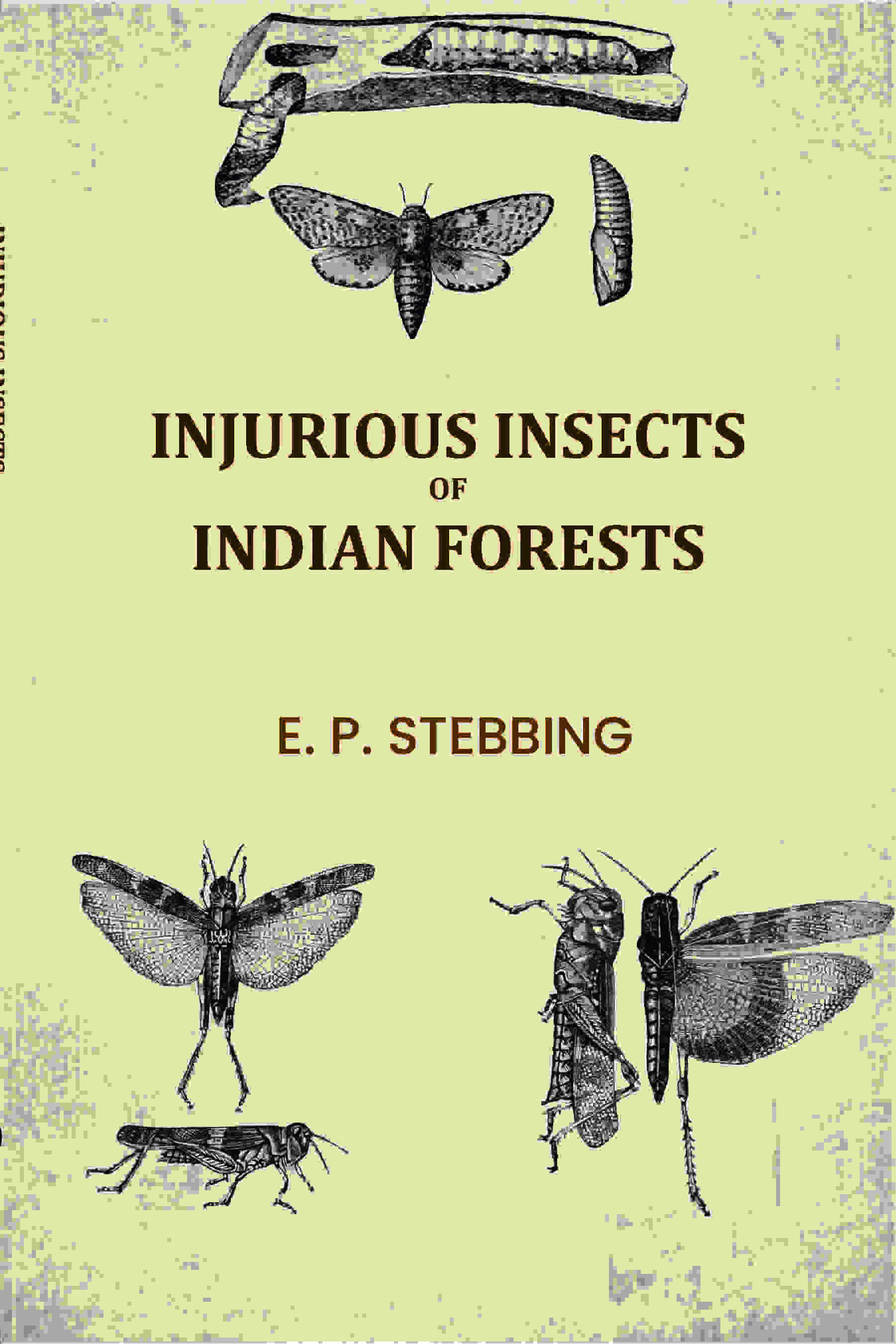 Injurious Insects of Indian Forests - Gyan Books | Grocsy