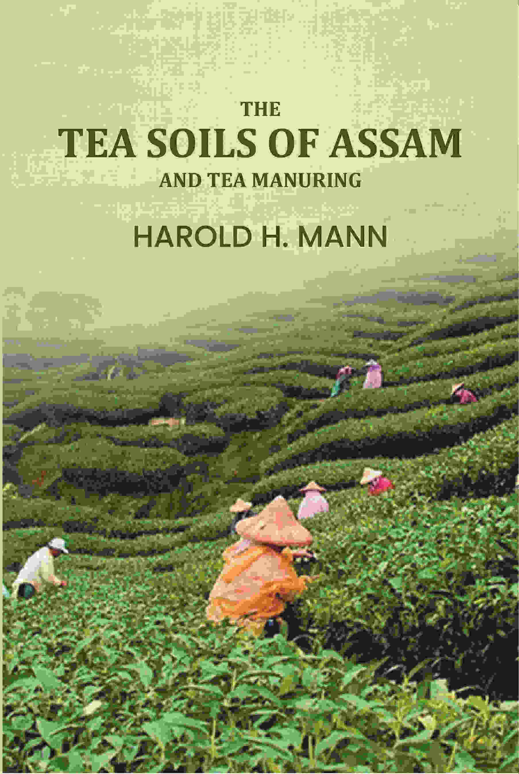 The Tea soils of Assam and tea manuring - Gyan Books | Grocsy