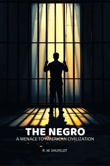 The Negro: A Menace To American Civilization - Gyan Books | Grocsy