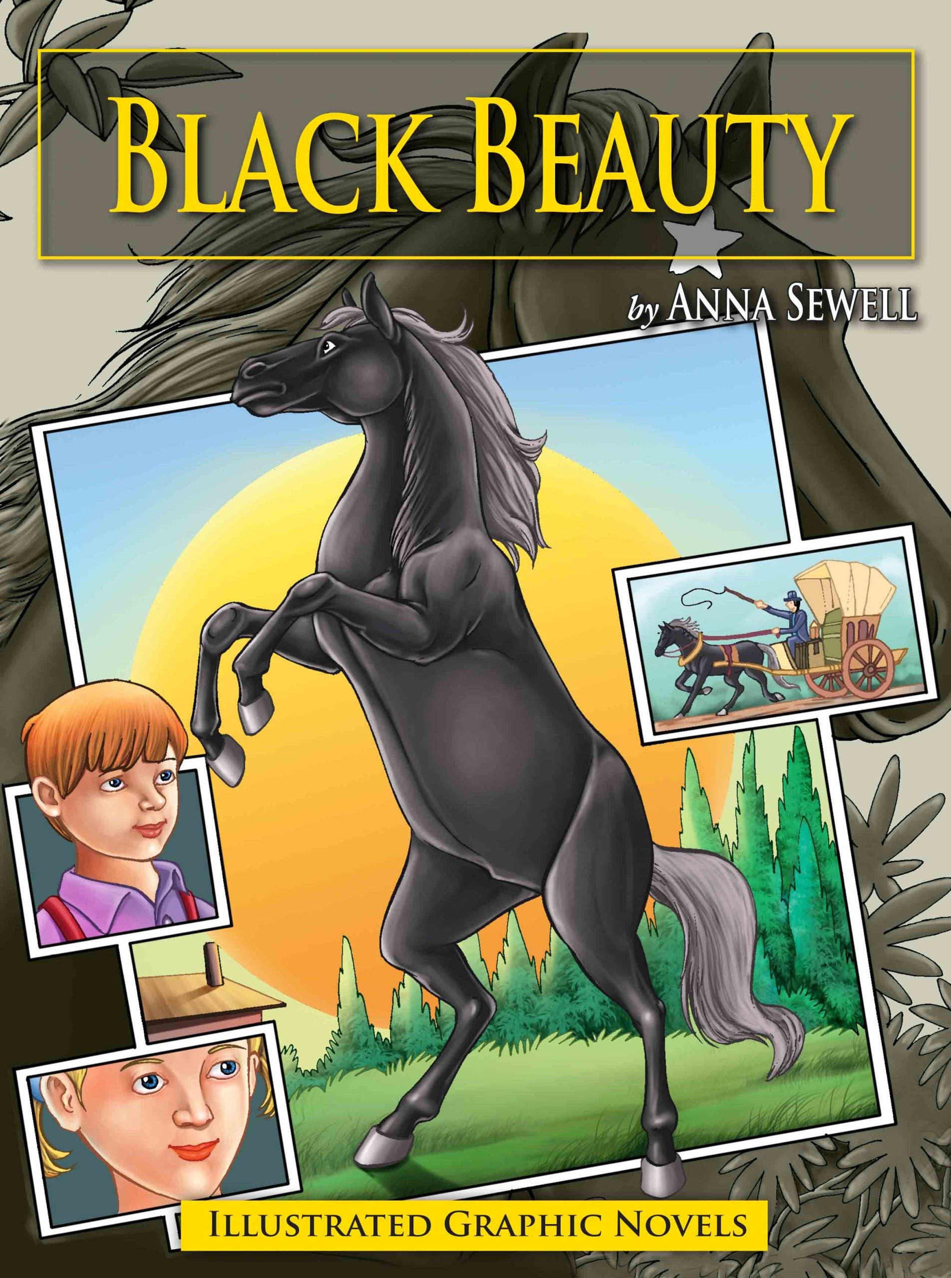 Black Beauty : Graphic Novels - Om Books | Grocsy