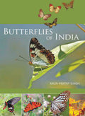 Butterflies of India by Arun Pratap Singh - Om Books | Grocsy
