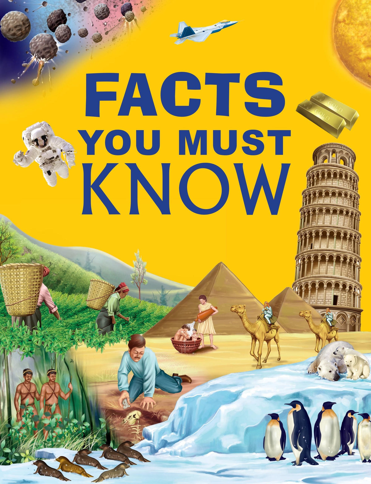 Facts You Must Know (Binder) - Om Books | Grocsy