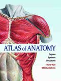 Atlas of Anatomy Organs Systems Structures by Johannes Sobotta - Om Books | Grocsy
