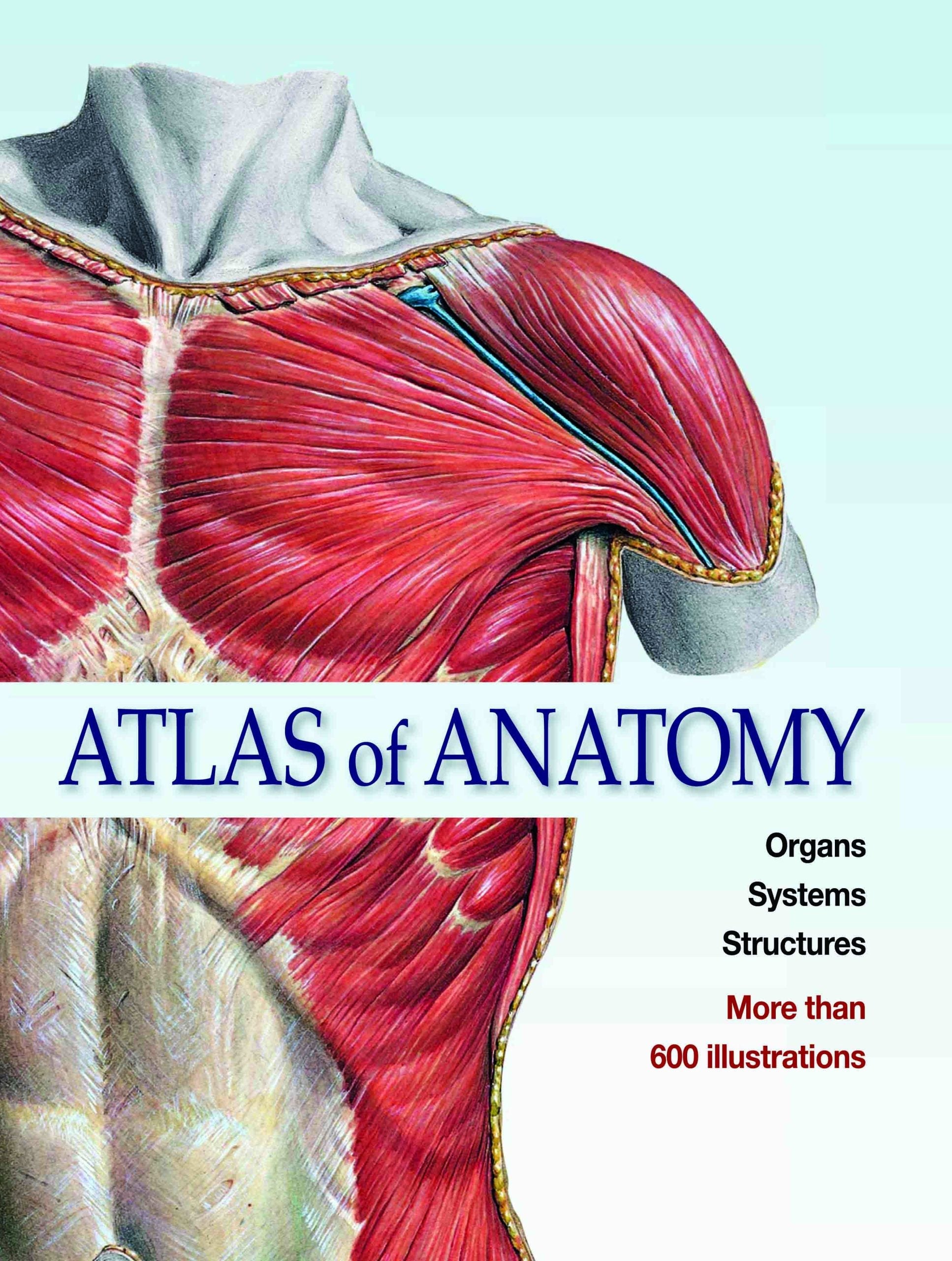 Atlas of Anatomy Organs Systems Structures by Johannes Sobotta - Om Books | Grocsy