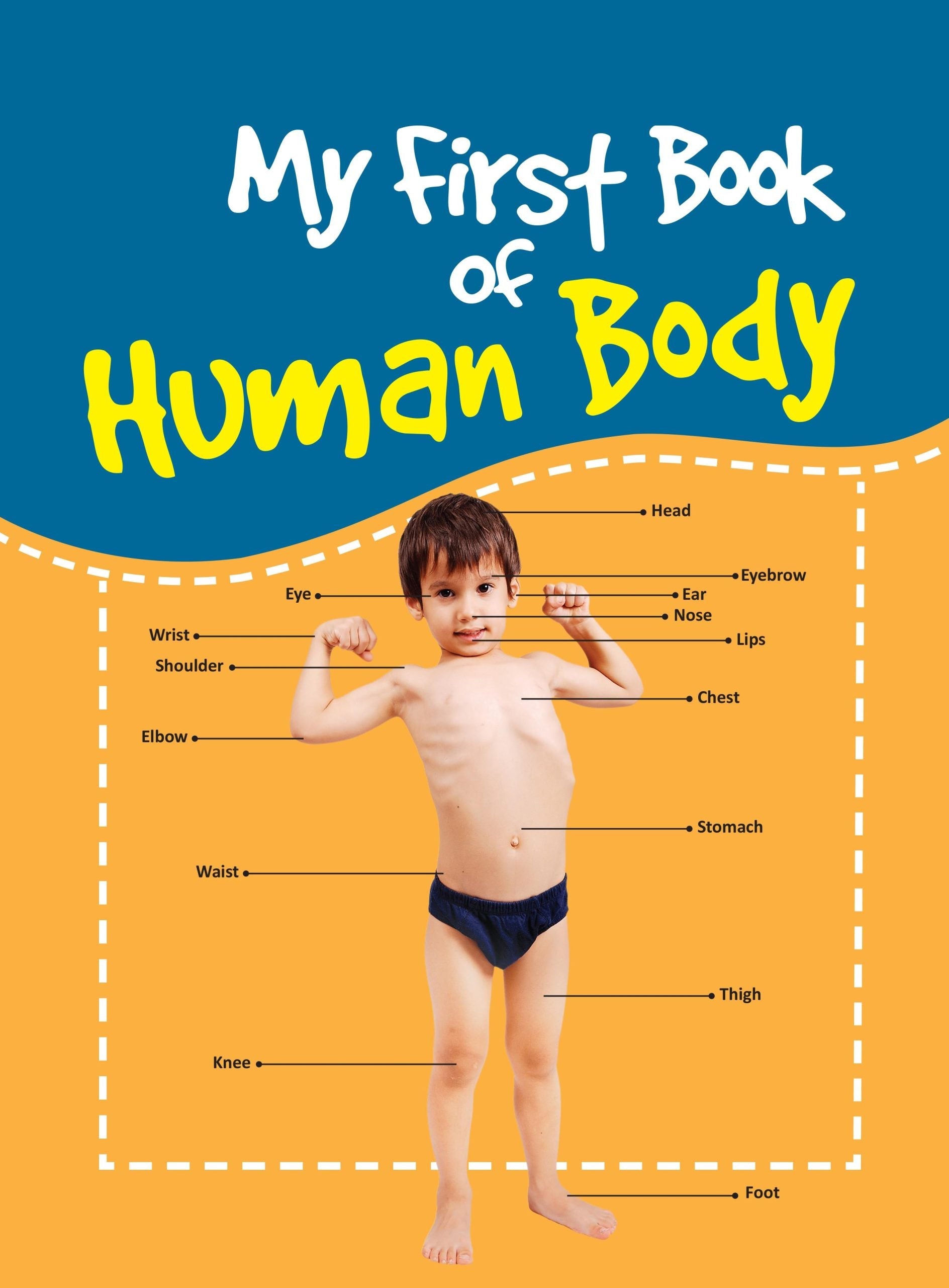 My First Book of Human Body - Om Books | Grocsy