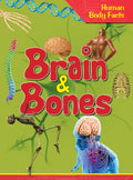 Brain & Bones : Human Body Facts - Om Books | Grocsy