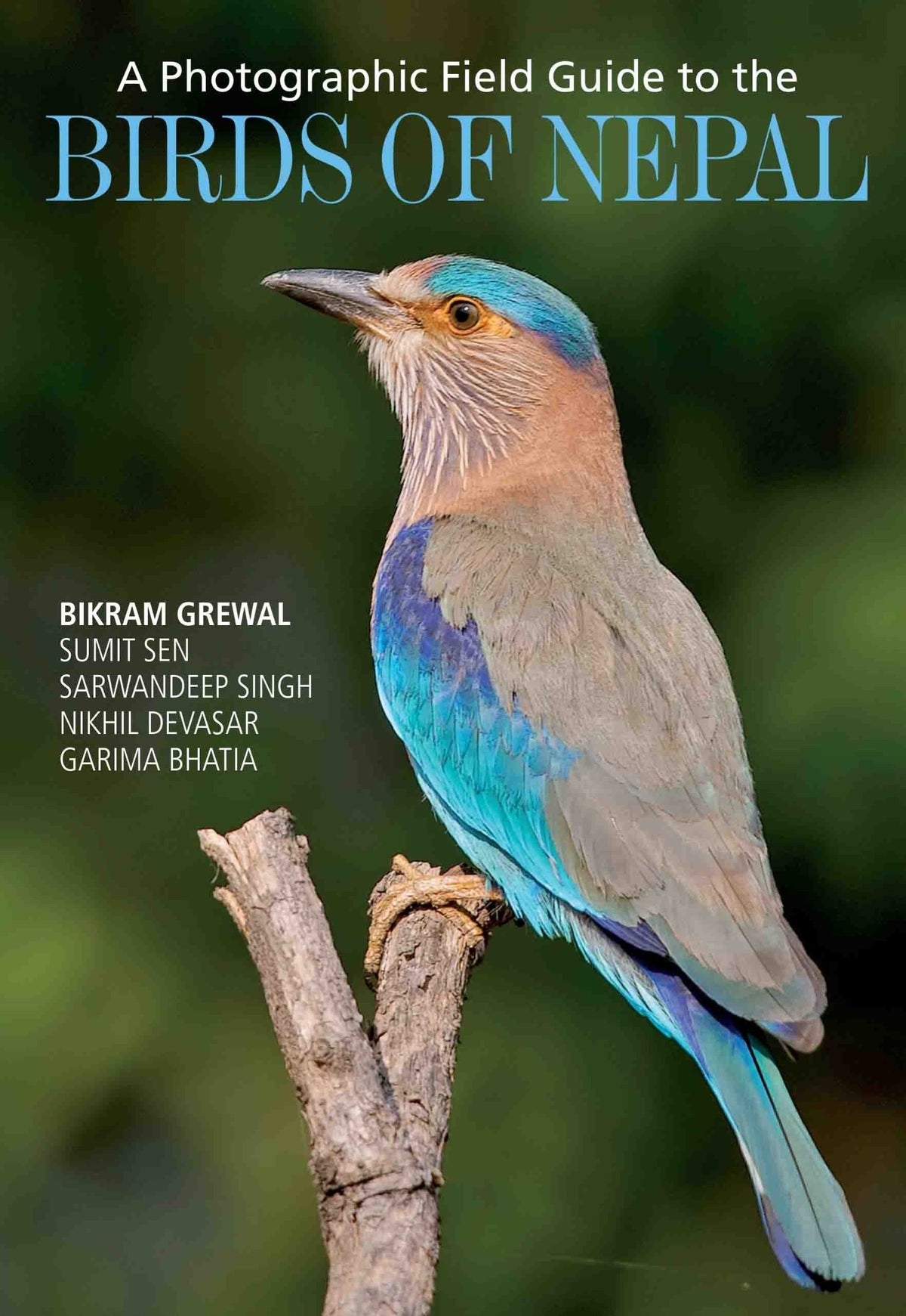 A Photographic Field Guide to the Birds of Nepal by Bikram Grewal,Sumit Sen,Sarwandeep Singh, Nikhil Devasar, Garima Bhatia - Om Books | Grocsy