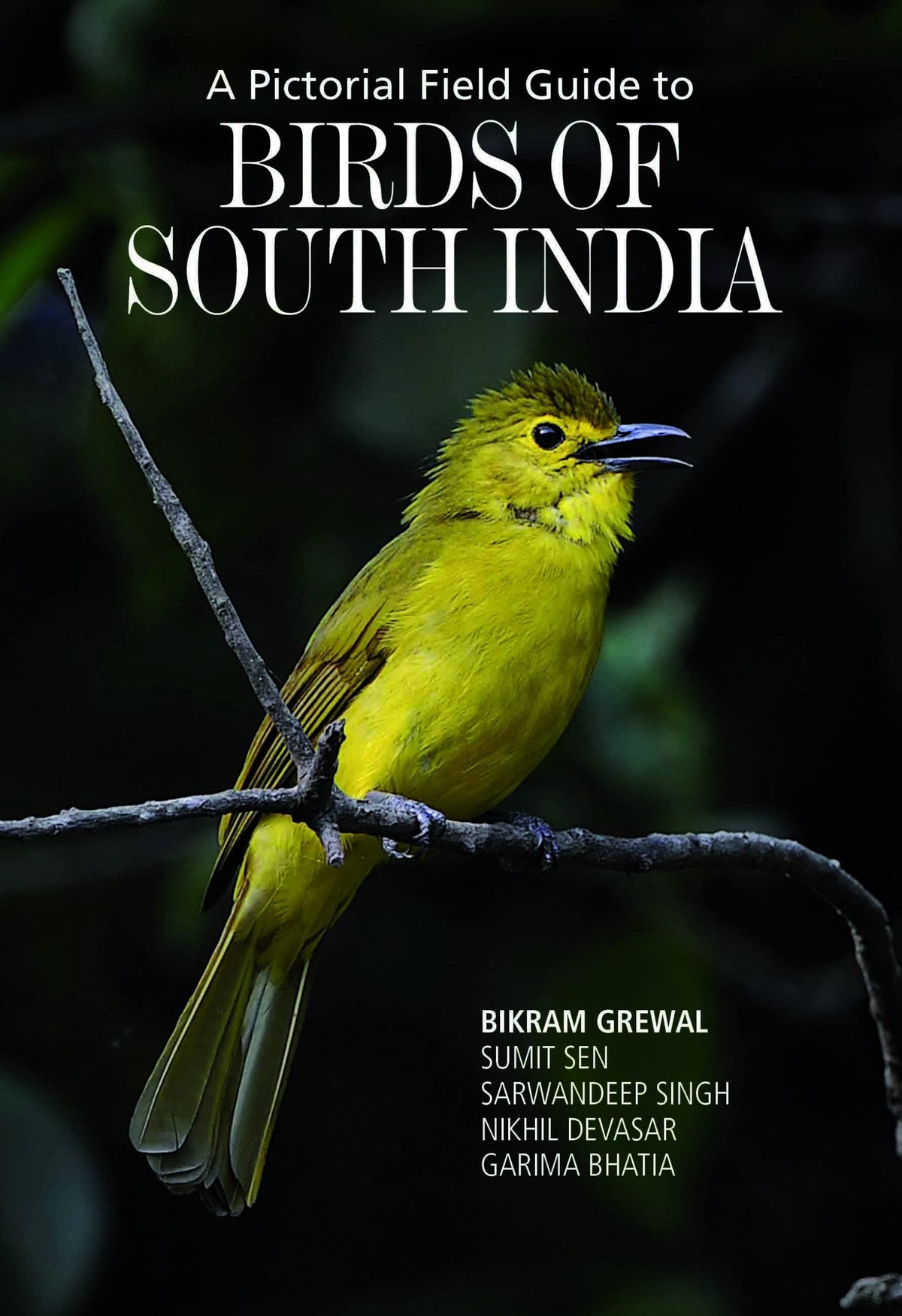 Birds of Southern India by Richard Grimmett,Tim Inskipp - Om Books | Grocsy