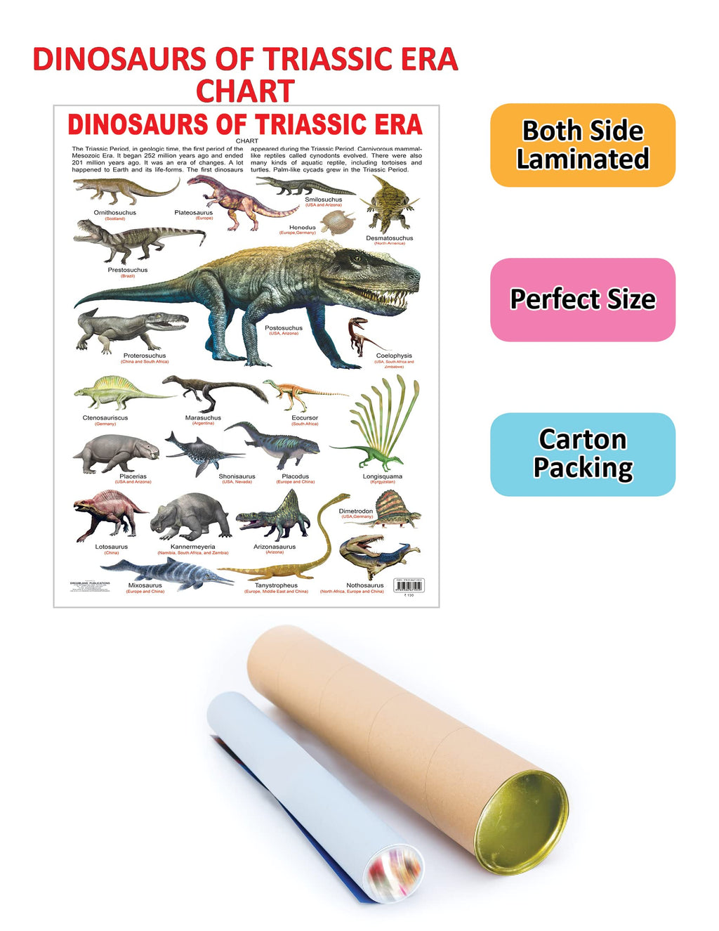 Dreamland Publications Educational Chart for Kids - Dinosaurs of Triassic Era | Grocsy