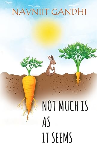 Not Much Is As It Seems-Navniit Gandhi | Grocsy
