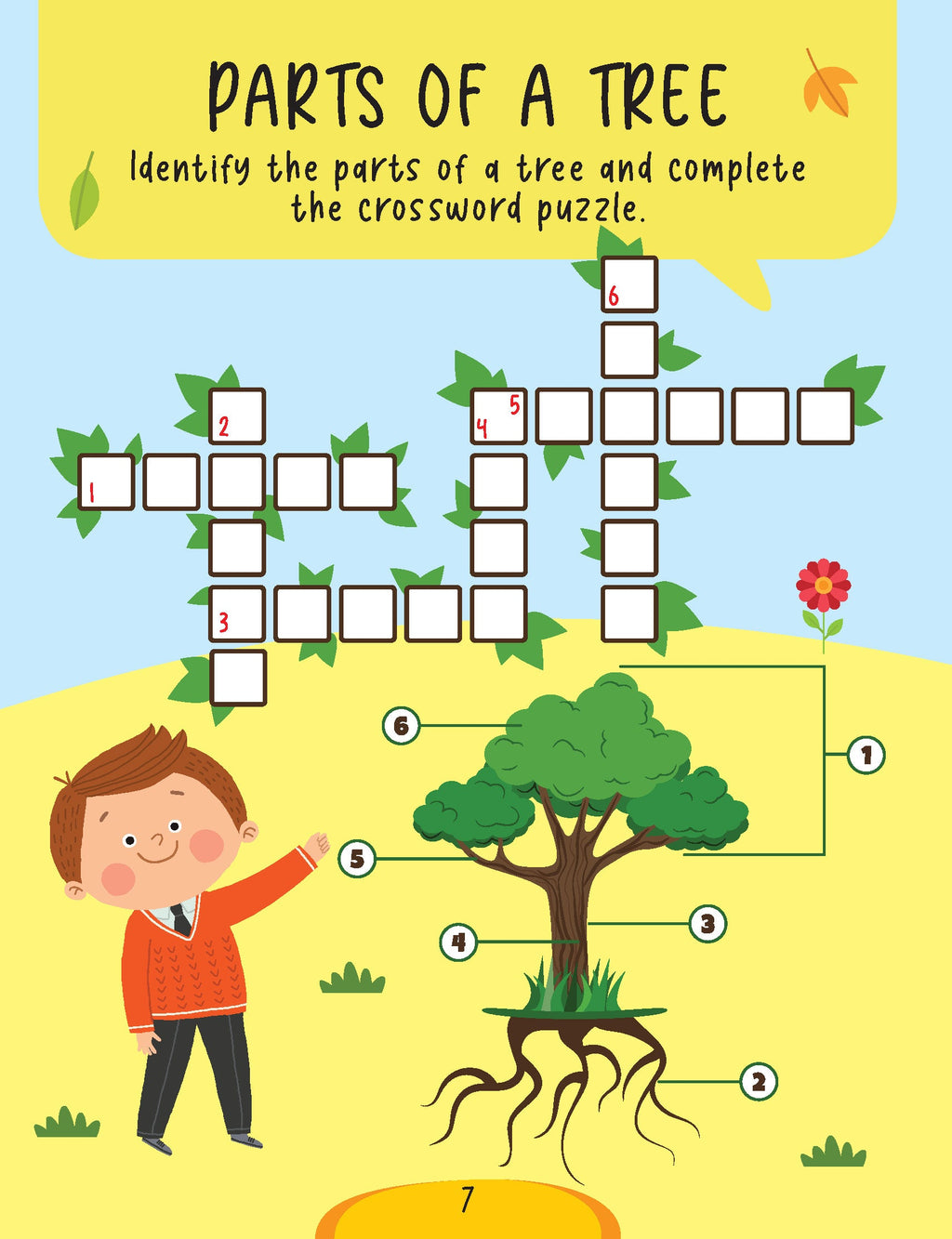 Dreamland Publications Science Activity Book Age 5+ : Children's Interactive & Activity Book | Grocsy