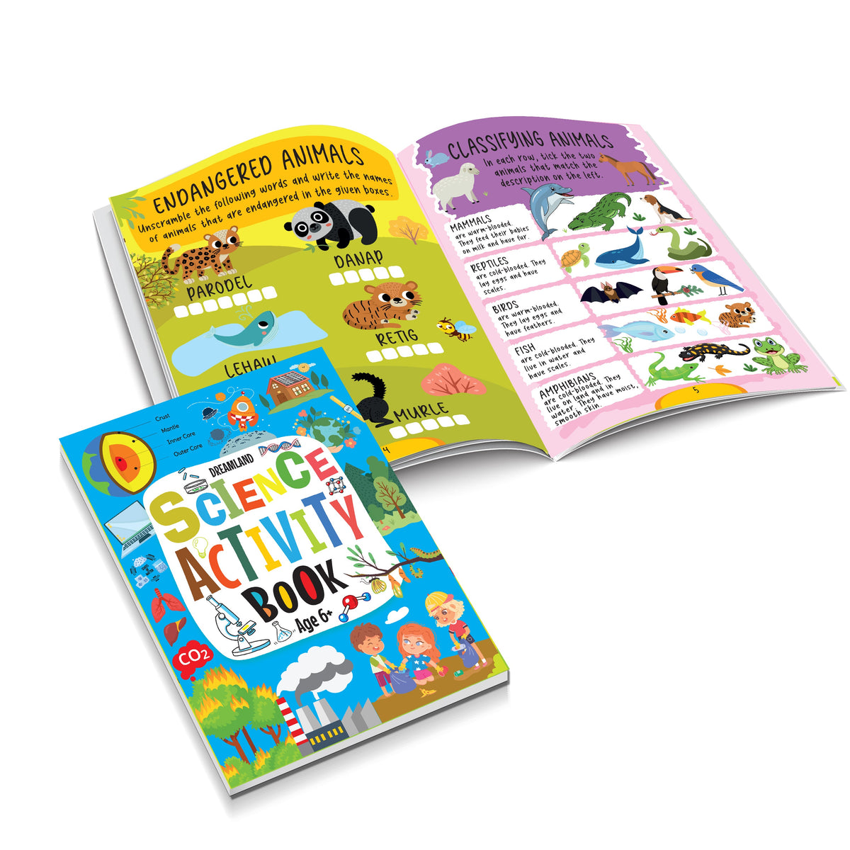 Dreamland Publications Science Activity Book Age 6+ : Children's Interactive & Activity Book | Grocsy