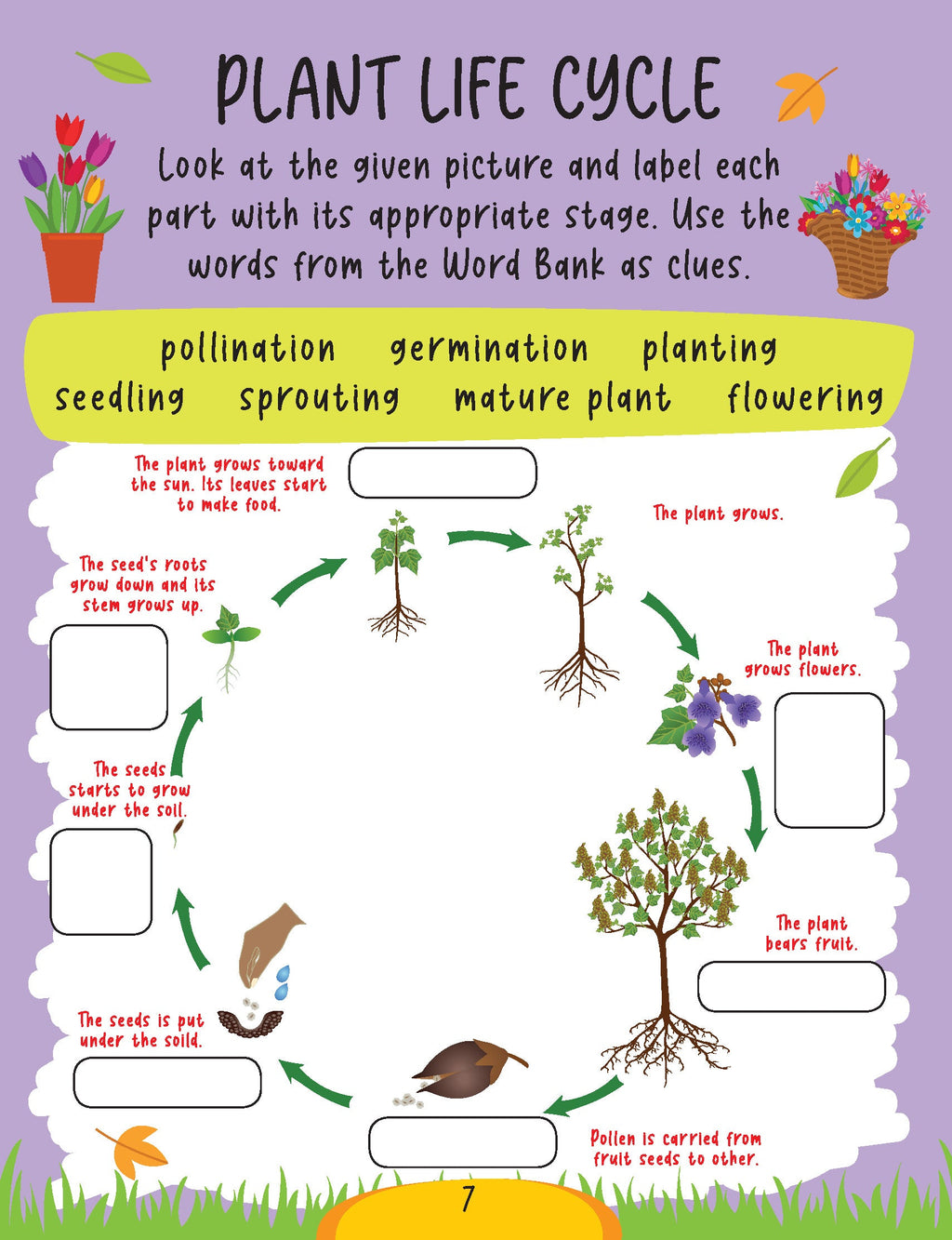 Dreamland Publications Science Activity Book Age 6+ : Children's Interactive & Activity Book | Grocsy