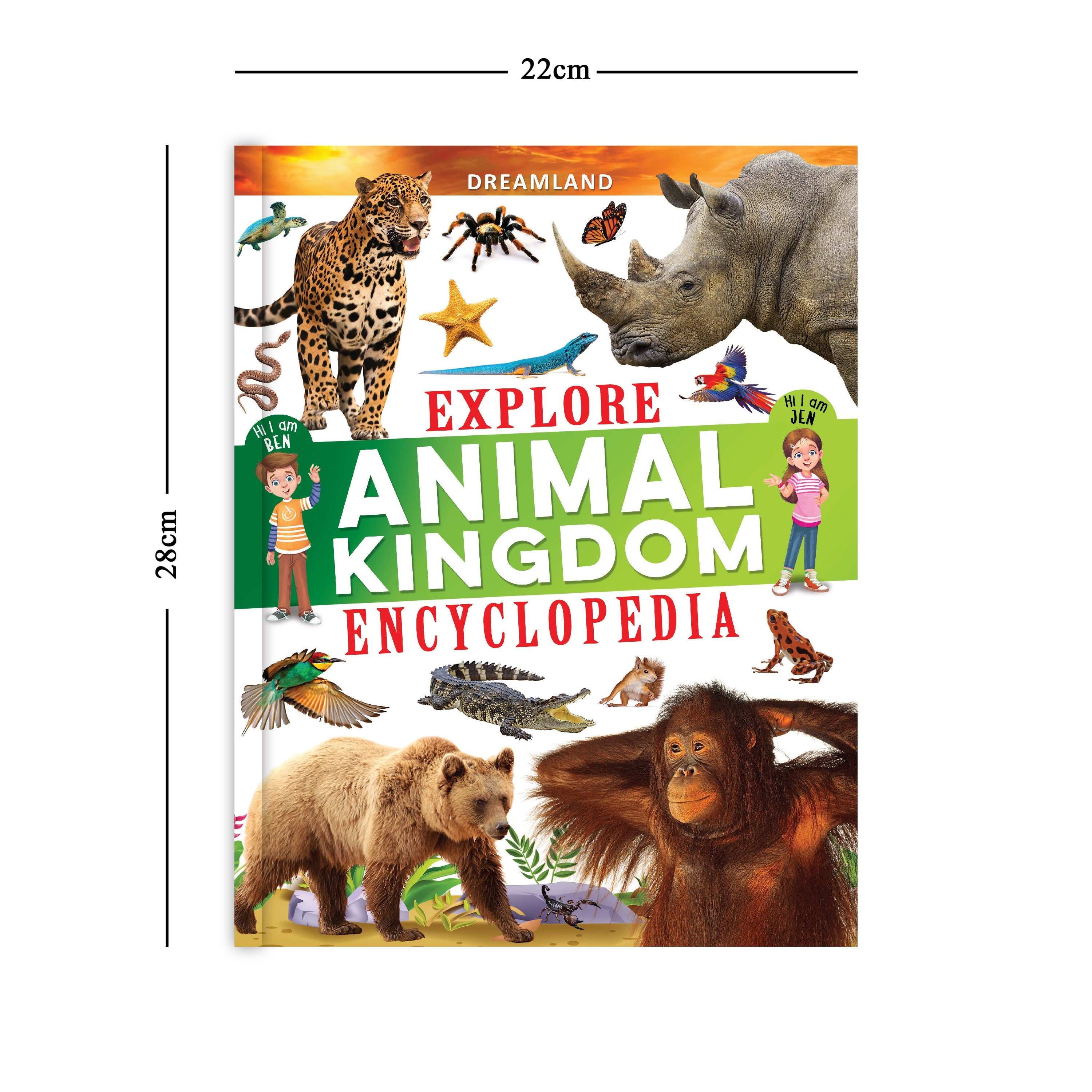 Dreamland Publications Explore Animal Kingdom Encyclopedia : Children's Reference Book | Grocsy
