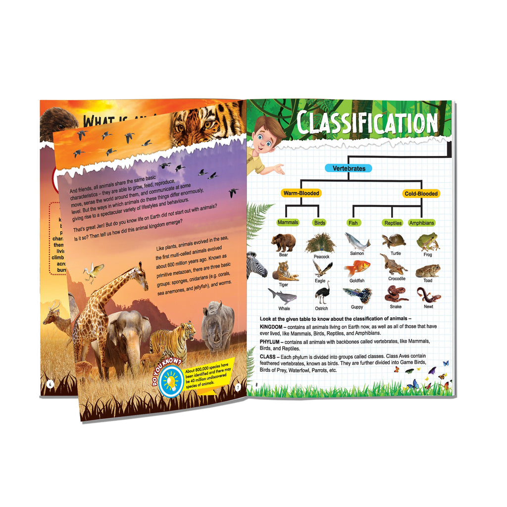 Dreamland Publications Explore Animal Kingdom Encyclopedia : Children's Reference Book | Grocsy