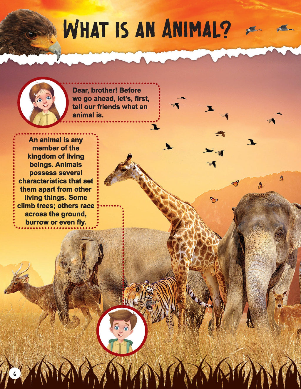 Dreamland Publications Explore Animal Kingdom Encyclopedia : Children's Reference Book | Grocsy