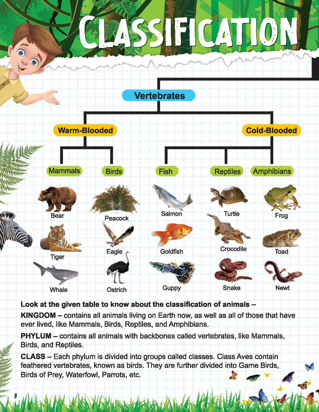 Dreamland Publications Explore Animal Kingdom Encyclopedia : Children's Reference Book | Grocsy