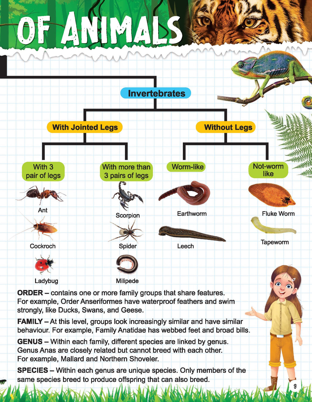 Dreamland Publications Explore Animal Kingdom Encyclopedia : Children's Reference Book | Grocsy
