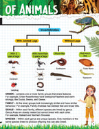 Dreamland Publications Explore Animal Kingdom Encyclopedia : Children's Reference Book | Grocsy