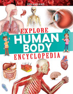 Dreamland Publications Explore Human Body Encyclopedia : Children's Reference Book | Grocsy