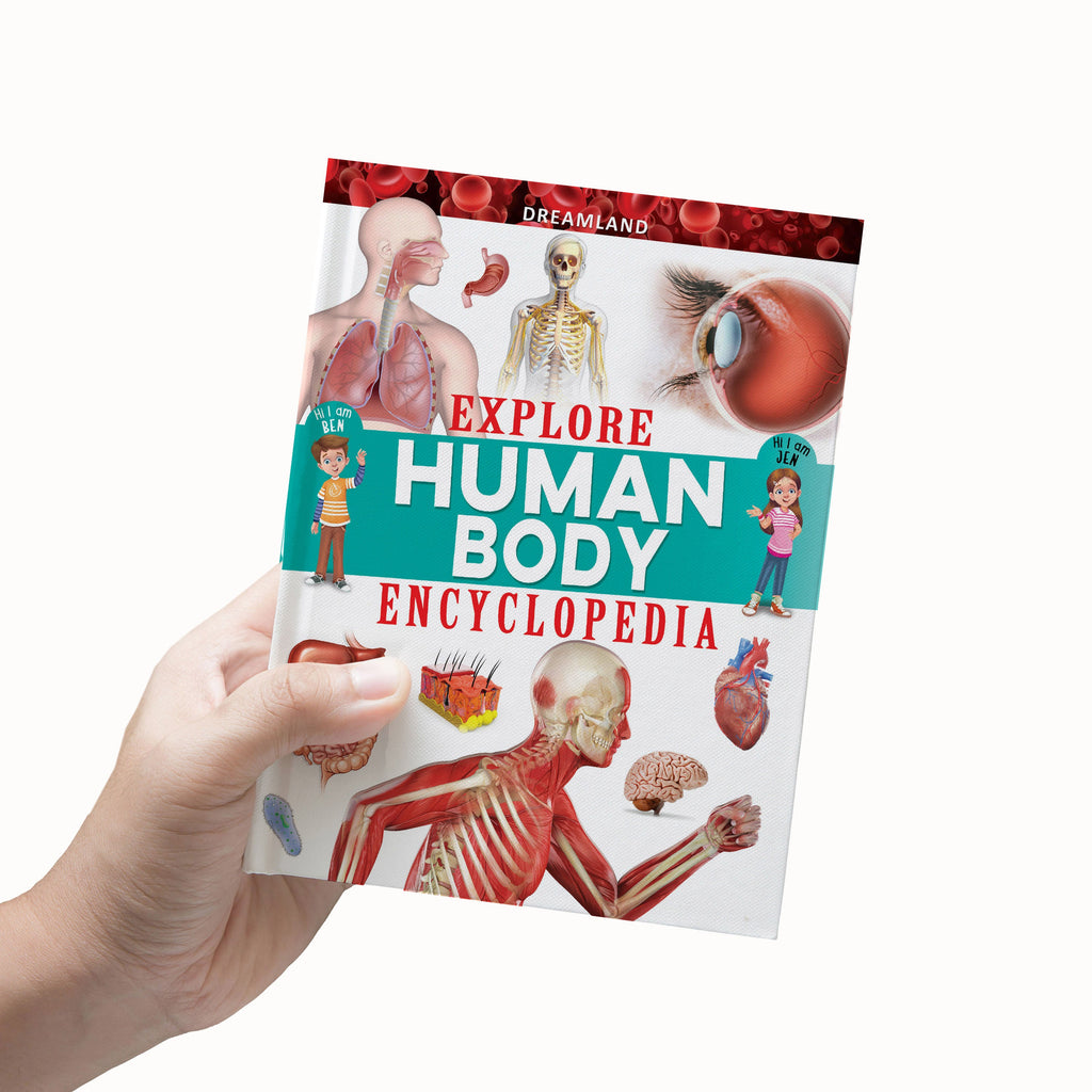 Dreamland Publications Explore Human Body Encyclopedia : Children's Reference Book | Grocsy