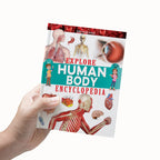 Dreamland Publications Explore Human Body Encyclopedia : Children's Reference Book | Grocsy