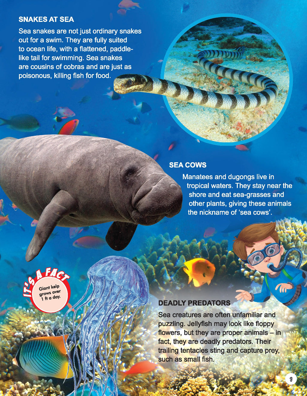 Dreamland Publications Explore Ocean World Encyclopedia : Children's Reference Book | Grocsy
