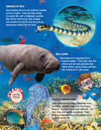 Dreamland Publications Explore Ocean World Encyclopedia : Children's Reference Book | Grocsy