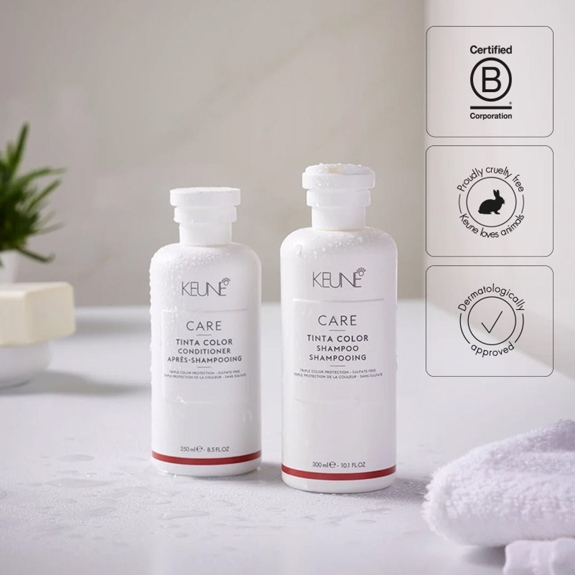 Keune Haircosmetics Care Tinta Color Shampoo | Grocsy