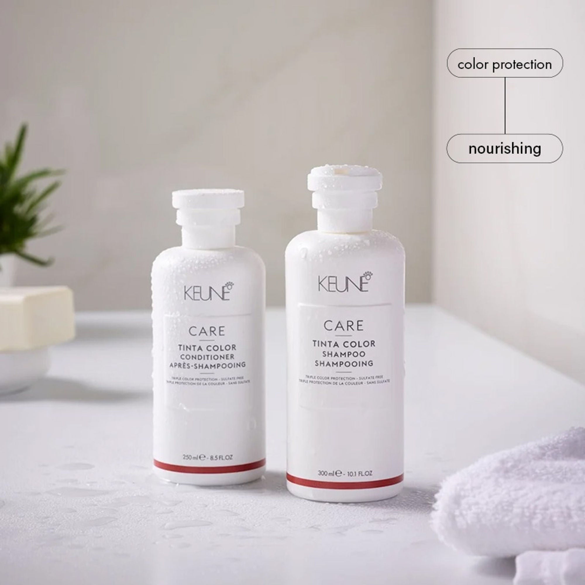 Keune Haircosmetics Care Tinta Color Shampoo | Grocsy